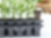 Easyplant seeding tray